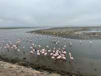 Namibia