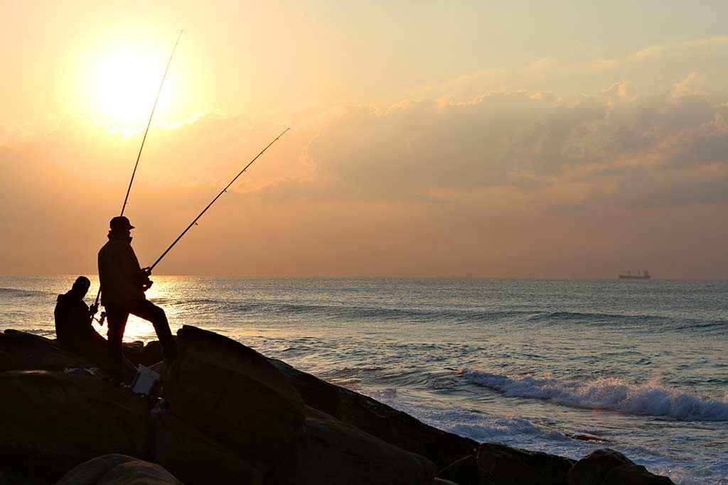 Fishing Tours