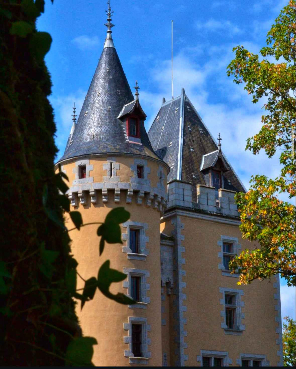 Château De Montflour - Coming Soon
